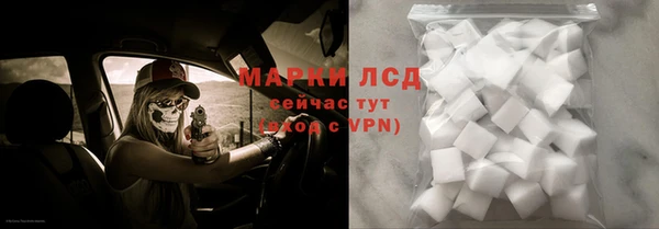 гидра Алексин